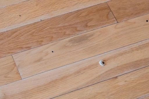 Multiple holes in hardwood floor boards before filler repair sanding blending and refinishing